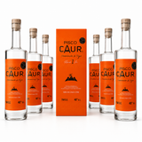 Pack de 6 botellas Pisco Caur Reposado 1 Año.