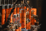 Pack de 6 botellas Pisco Caur Reposado 1 Año.